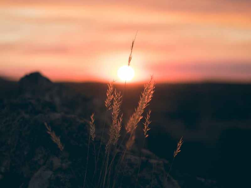 Transcendent Dawn Poem