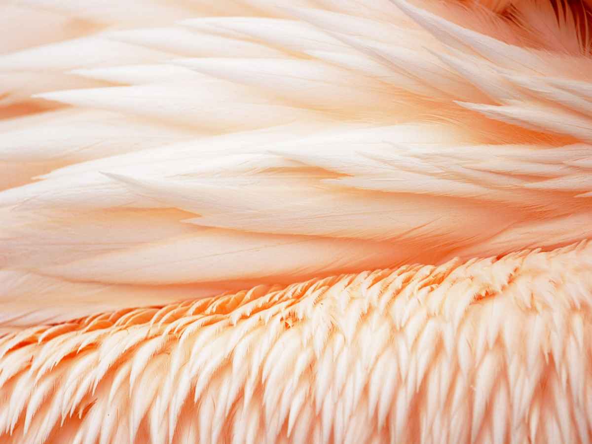 Touch of The Goddess&nbsp;Poem